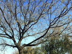 -汉长安城未央宫国家考古遗址公园