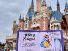 -上海迪士尼度假区