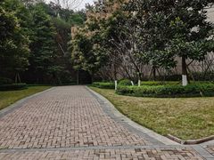 -鸿恩陶然大观园