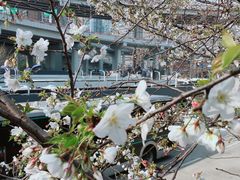 -上海南浦大桥长途旅游客运站