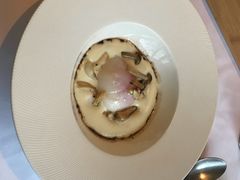 -蝶舍·MAISON PAPILLON