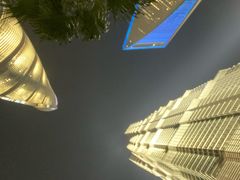 -上海柏悦酒店·世纪100牛排馆