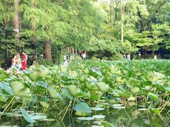 -人民公园-相亲角