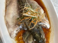 -阿英煲(凉城路店)