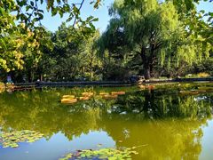 -国家植物园南园