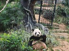 -石排湾郊野公园