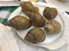 -小白桦西餐厅