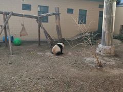 -石家庄极地海洋世界