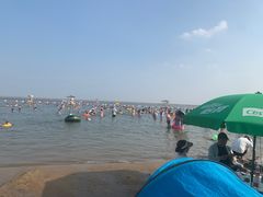 -碧海金沙
