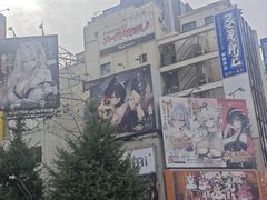 -Animate(秋叶原本馆)