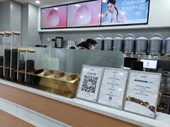 -雾与山茶(大禹城店)