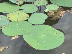 -木塔寺遗址生态公园