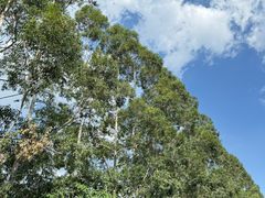 -广州市紫泥堂文化创意园景区