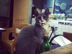 -MIKAKU(万达广场上海宝山店)