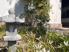 -苏州文庙(姑苏区)