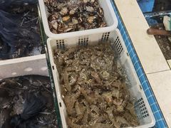 -鹰龙海畔度假酒店(咸祥店)
