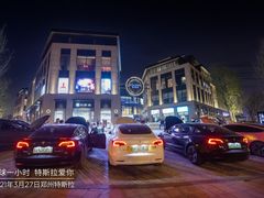 -TESLA 特斯拉(郑州正弘城体验店)