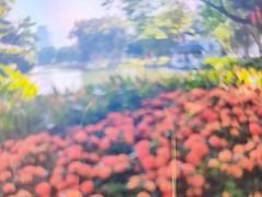 -荔湾湖公园