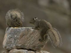 -北京清河镇农副产品交易市场中心