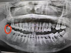 -爱尚大众口腔(南湖花园门诊)