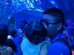 -芜湖新华联大白鲸海洋公园