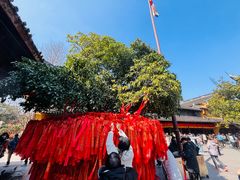 -龙华素斋(龙华路店)