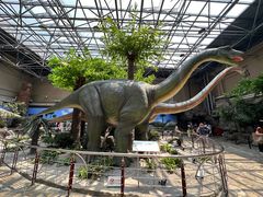 -国家自然博物馆