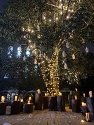 -帆拉斐婚纱摄影(春熙店)