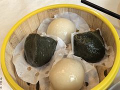 -五谷芳乳鸽王(梅沙老店)