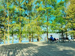 -上海海湾国家森林公园