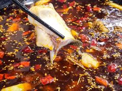 -蜀渔轩美蛙鱼火锅(郫筒店)