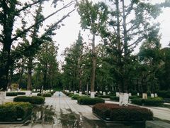 -两江幸福广场