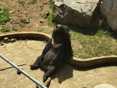 -无锡动物园·太湖欢乐园