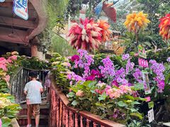 -正佳雨林生态植物园