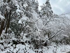 -溪口商量岗景区