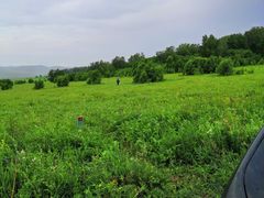 -御道口草原森林风景区