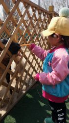 -萌宠亲子动物乐园(槐房万达店)