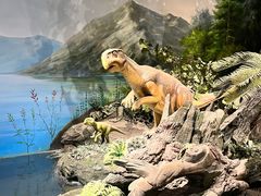 -辽宁古生物博物馆
