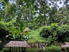 -中国科学院西双版纳热带植物园