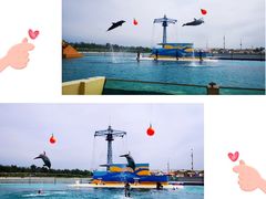 -秦皇岛乐岛海洋王国