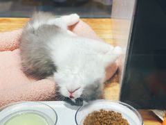 -狗道宠物(常熟印象城店)