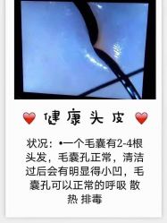 -张昊造型