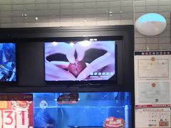 -鱼酷活鱼烤鱼(南京水游城店)