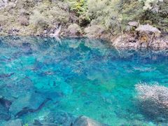 -叠溪松坪沟景区