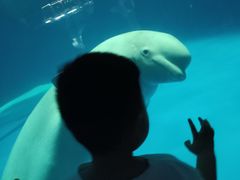 -泉城欧乐堡海洋极地世界