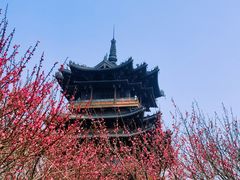 -杭州半山国家森林公园