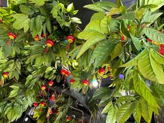 -草原塞蛮羊火锅城(港湾店)