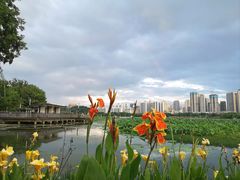 -月湖风景区