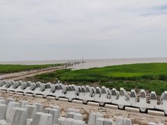 -南汇嘴观海公园
