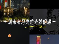 -深圳湾公园(南山区)